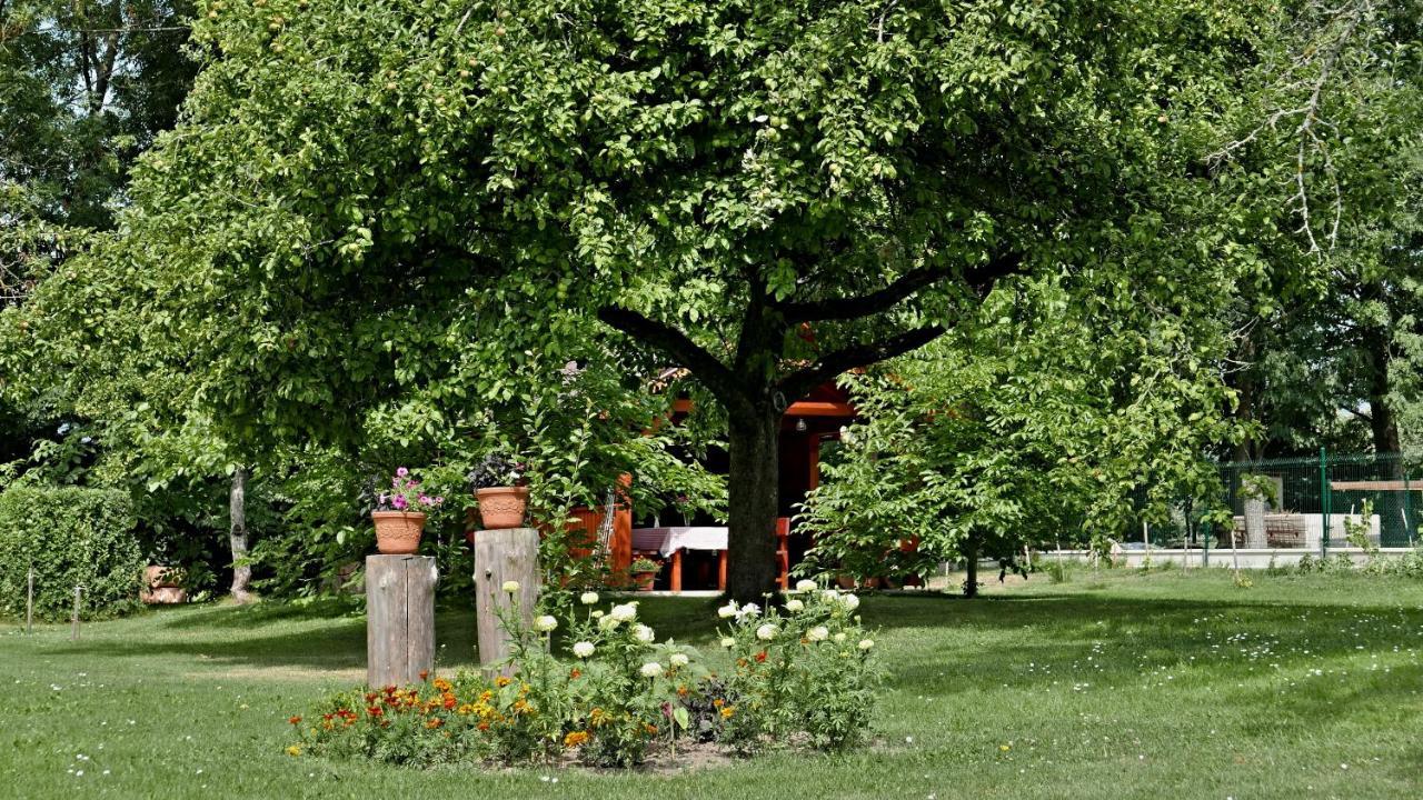 Penzion Jaraba Żar Zewnętrze zdjęcie