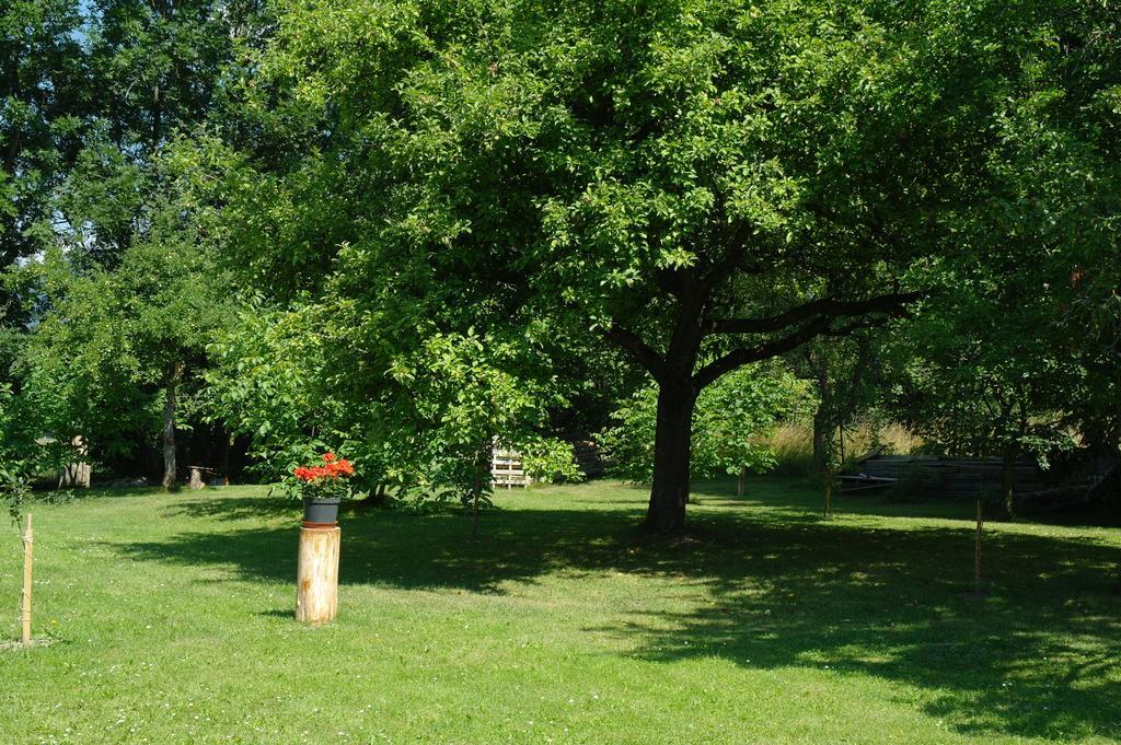 Penzion Jaraba Żar Zewnętrze zdjęcie